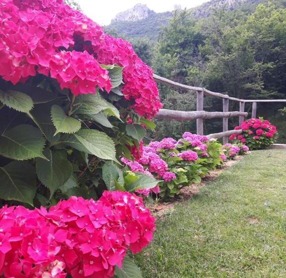 צימר Ort Holiday S Time