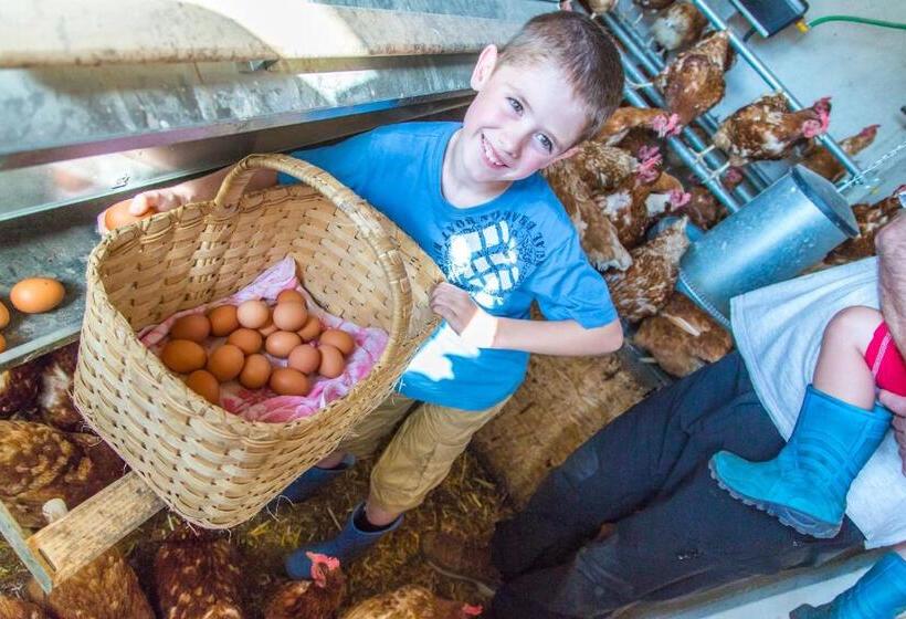 هتل Bauernhof Vorderklinglhub