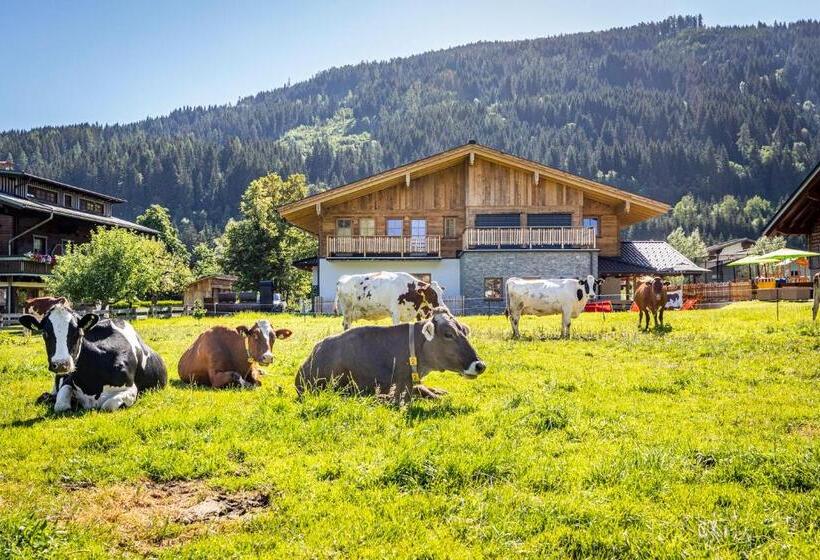 هتل Bauernhof Vorderklinglhub