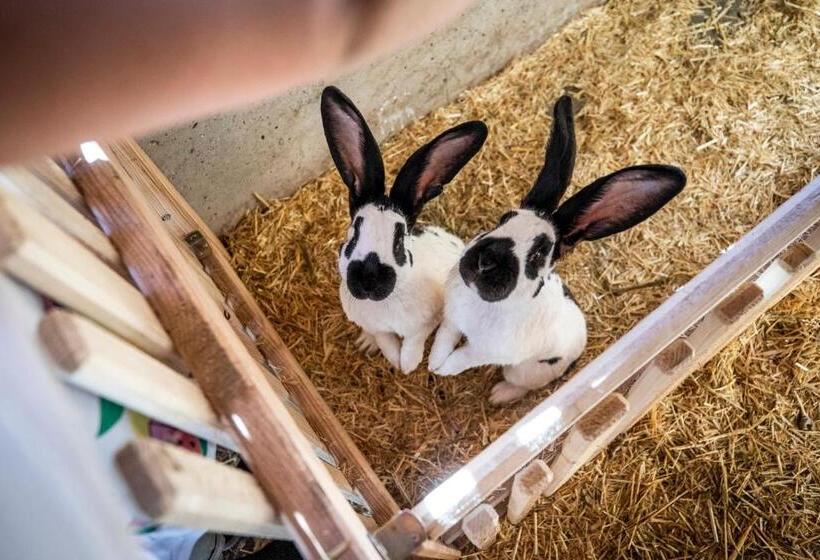 هتل Bauernhof Vorderklinglhub