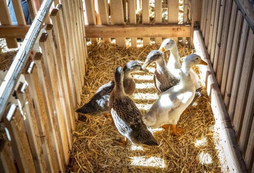 هتل Bauernhof Vorderklinglhub