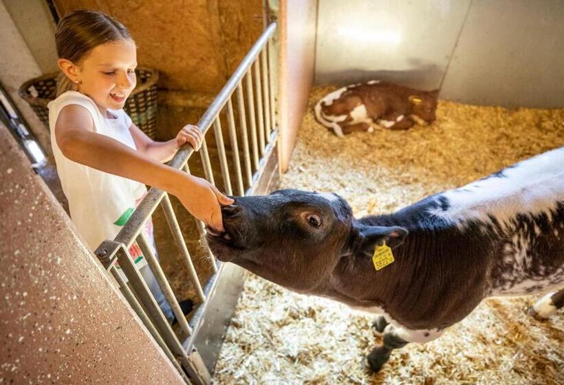 هتل Bauernhof Vorderklinglhub