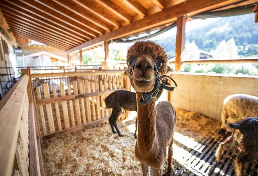 هتل Bauernhof Vorderklinglhub