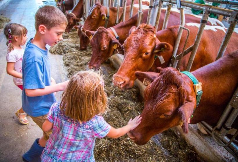 هتل Bauernhof Vorderklinglhub