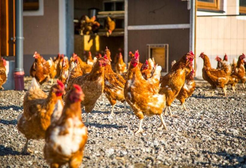 هتل Bauernhof Vorderklinglhub