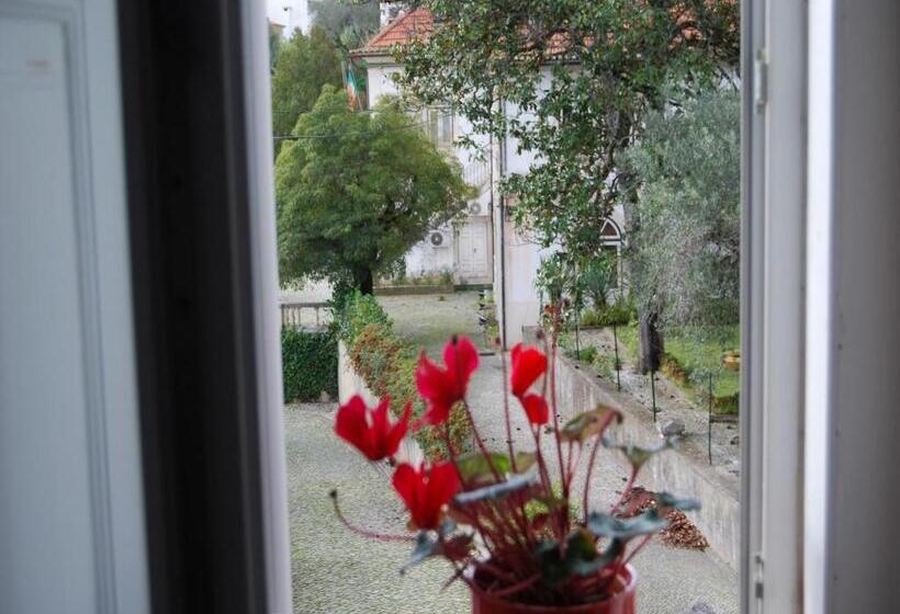 بنسيون Adore Portugal Coimbra Guest House