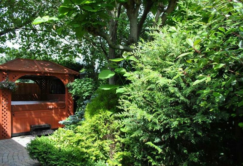 פנסיון Elegance Hamont