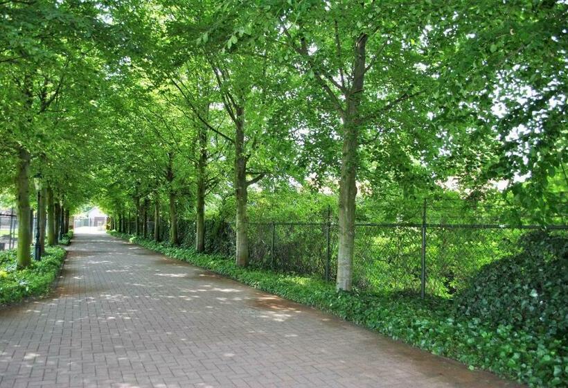 פנסיון Elegance Hamont