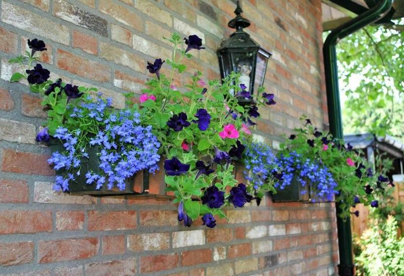 פנסיון Elegance Hamont