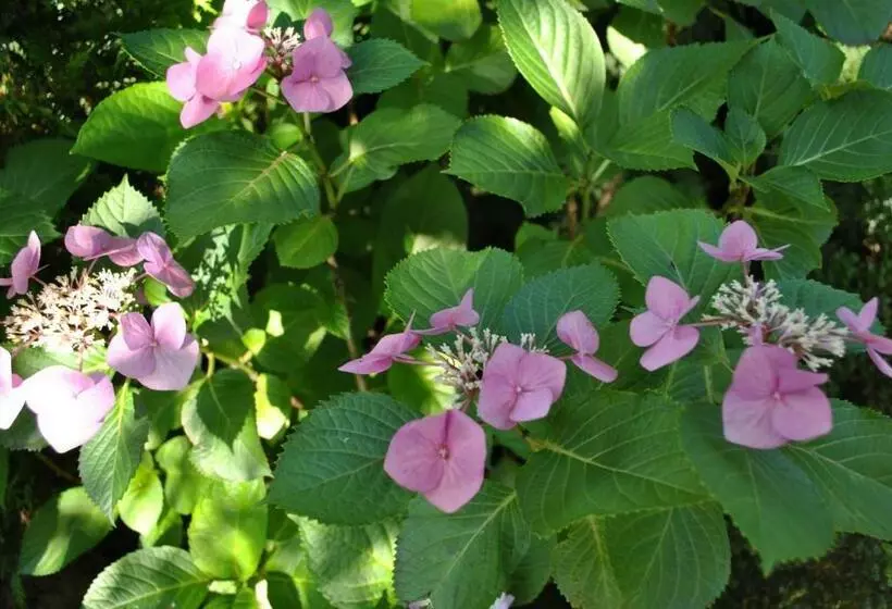 Majatalo Elegance Hamont