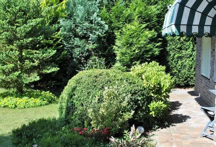 Majatalo Elegance Hamont