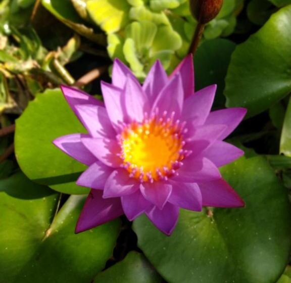 Prasanti Bed & Breakfast