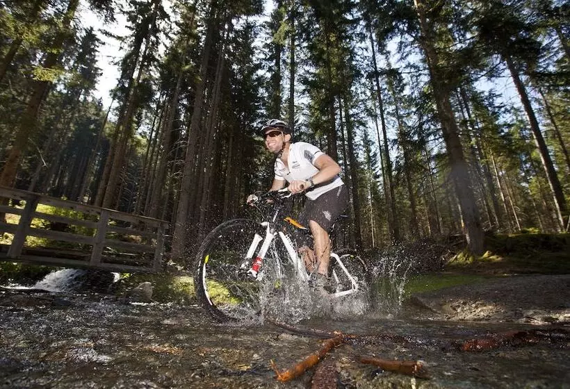 호텔 Bergland Superior