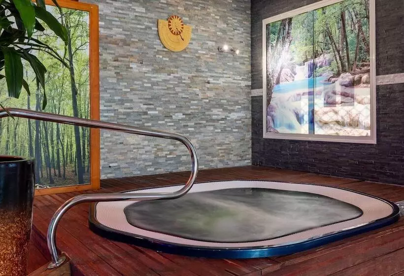 Best Western Hotel & Spa Pau Lescar Aeroport