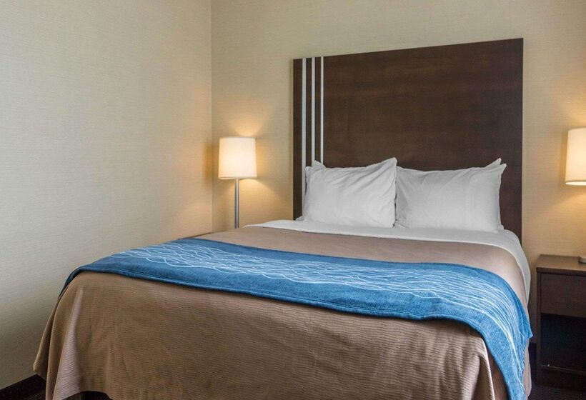 호텔 Comfort Inn & Suites