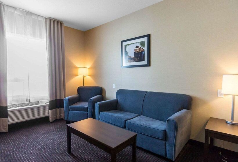 호텔 Comfort Inn & Suites