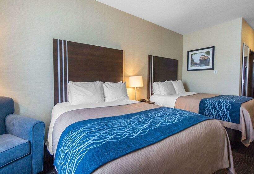 호텔 Comfort Inn & Suites