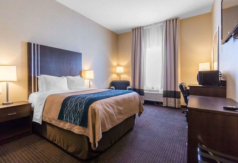 호텔 Comfort Inn & Suites