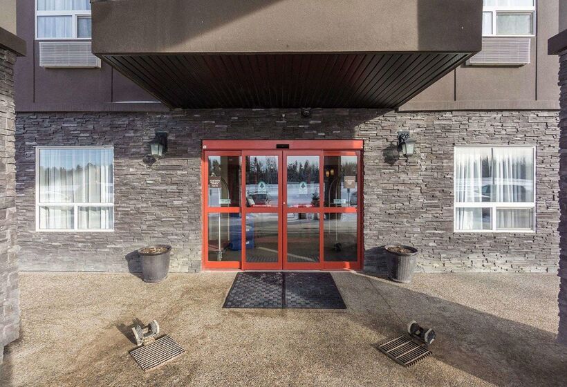 호텔 Comfort Inn & Suites