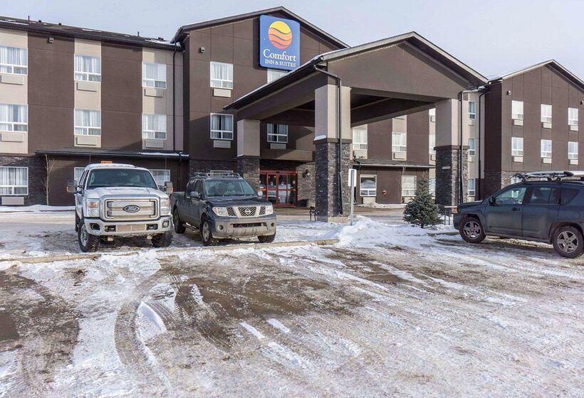 호텔 Comfort Inn & Suites