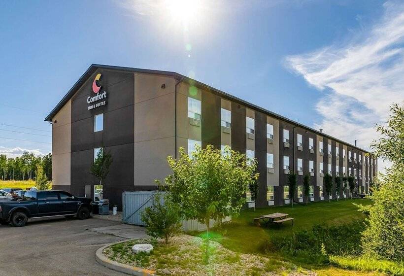 호텔 Comfort Inn & Suites