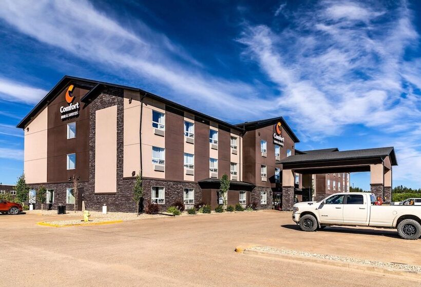 호텔 Comfort Inn & Suites