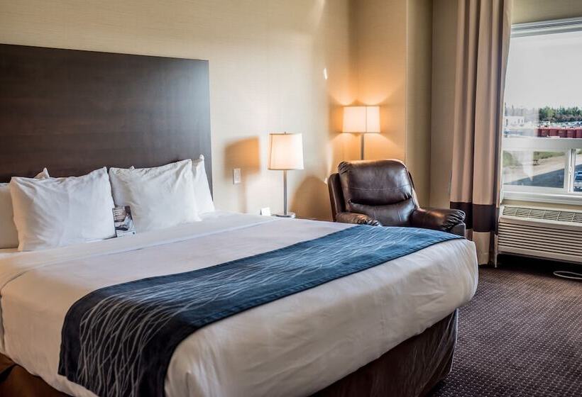 호텔 Comfort Inn & Suites