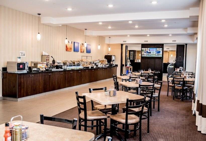 호텔 Comfort Inn & Suites