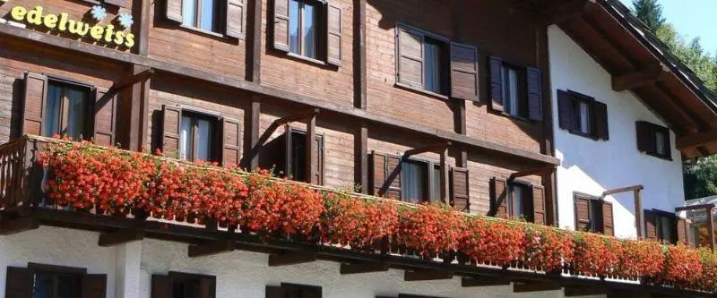 酒店 Edelweiss
