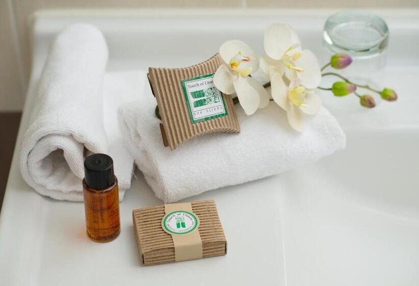 Отель La Frégate