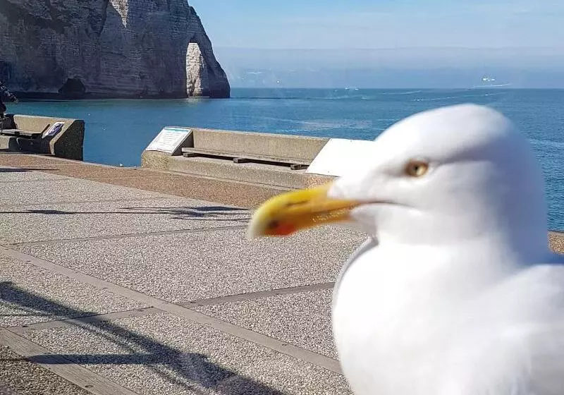 هتل La Villa 10 Hôtel Spa