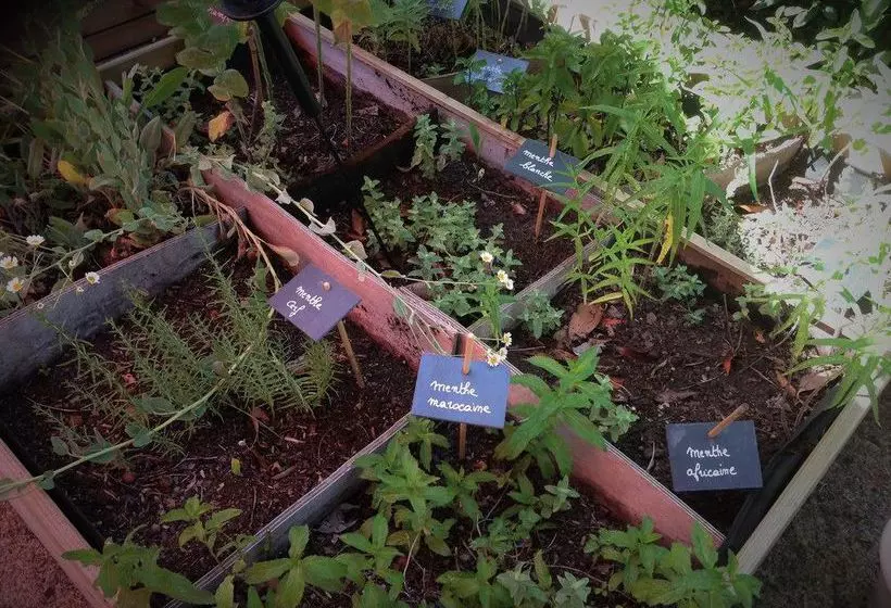 ホテル Les Raspes