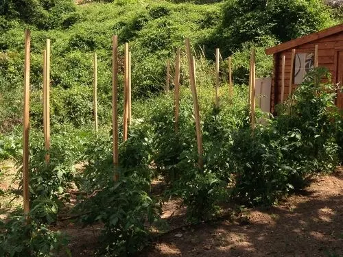 ホテル Les Raspes