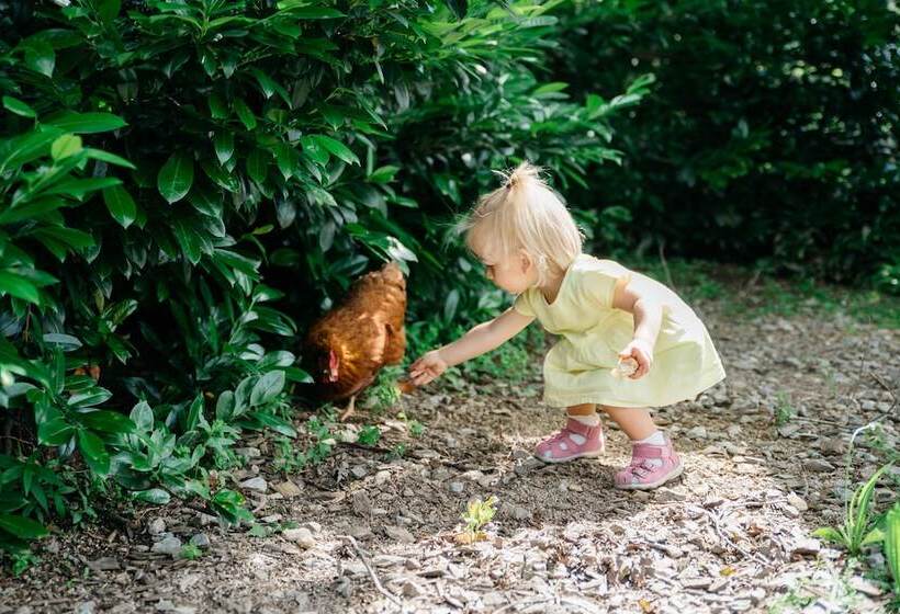 فندق Oberforsthof