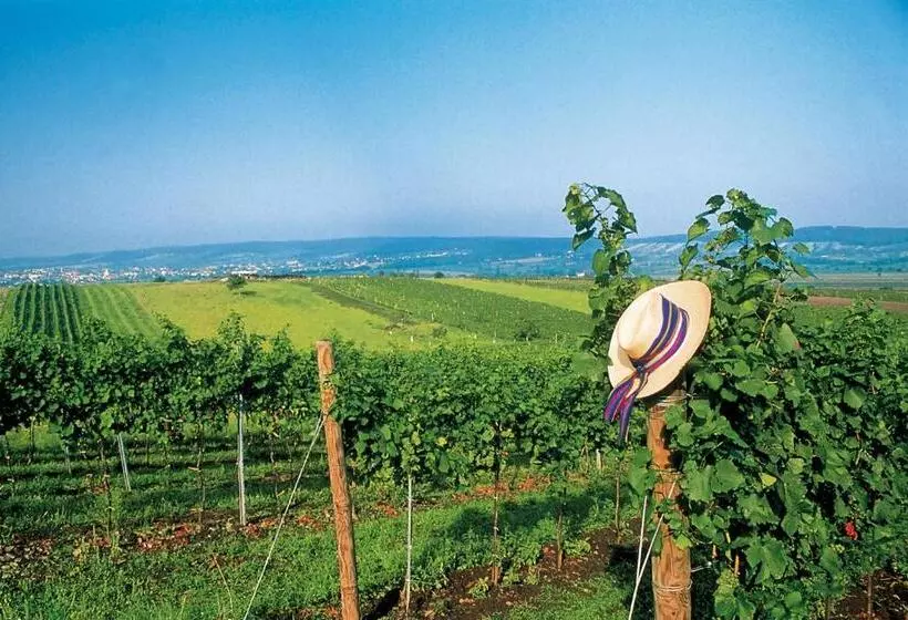 בית מלון כפרי Panoramahof Loipersdorf