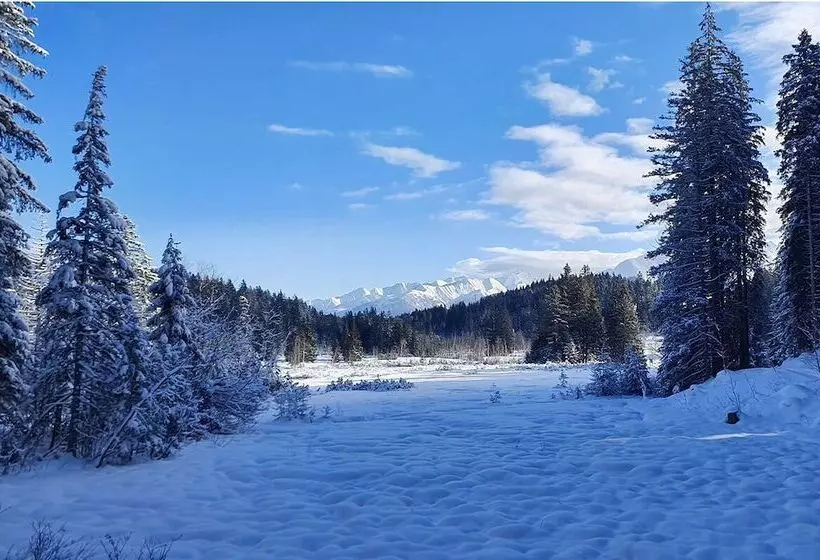 Отель Schloss Mittersill