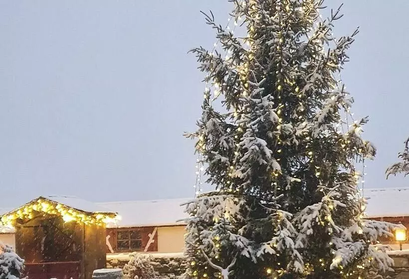 Отель Schloss Mittersill