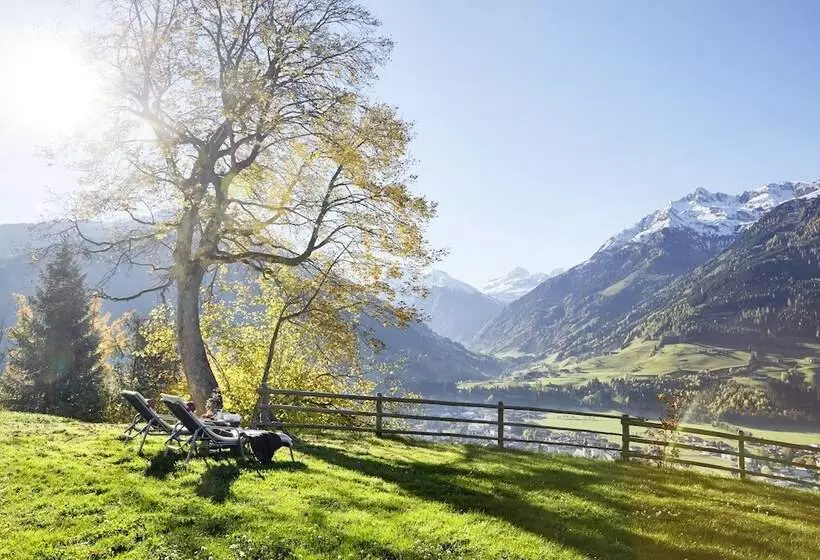 Отель Schloss Mittersill