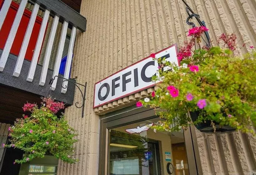 호텔 Thunderbird Motor Inn