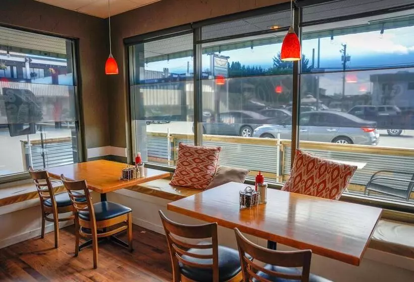 호텔 Thunderbird Motor Inn