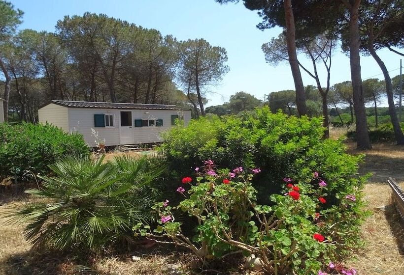 فندق صغير Villaggio Camping Nurral