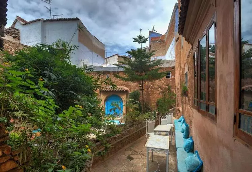 Bed and Breakfast Dar Baibou