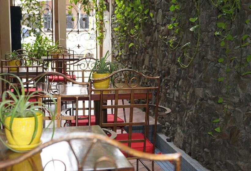 هتل Casa Del Arbol