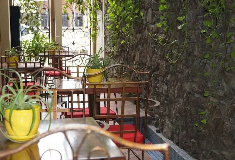 هتل Casa Del Arbol