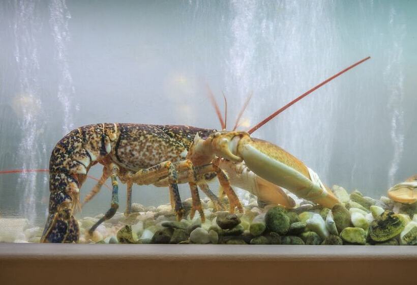 هتل Encosta Do Lago Resort Club