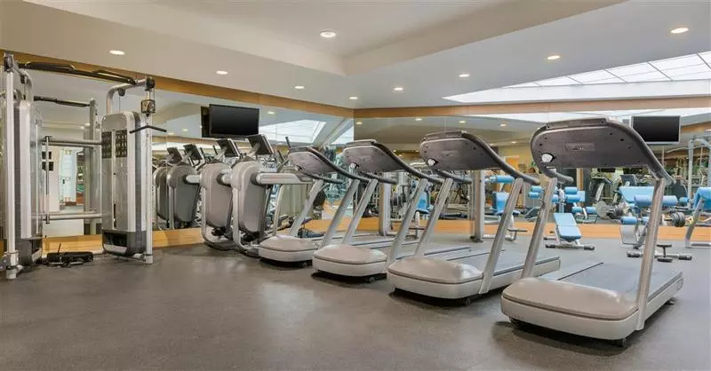 Отель Le Méridien Cairo Airport