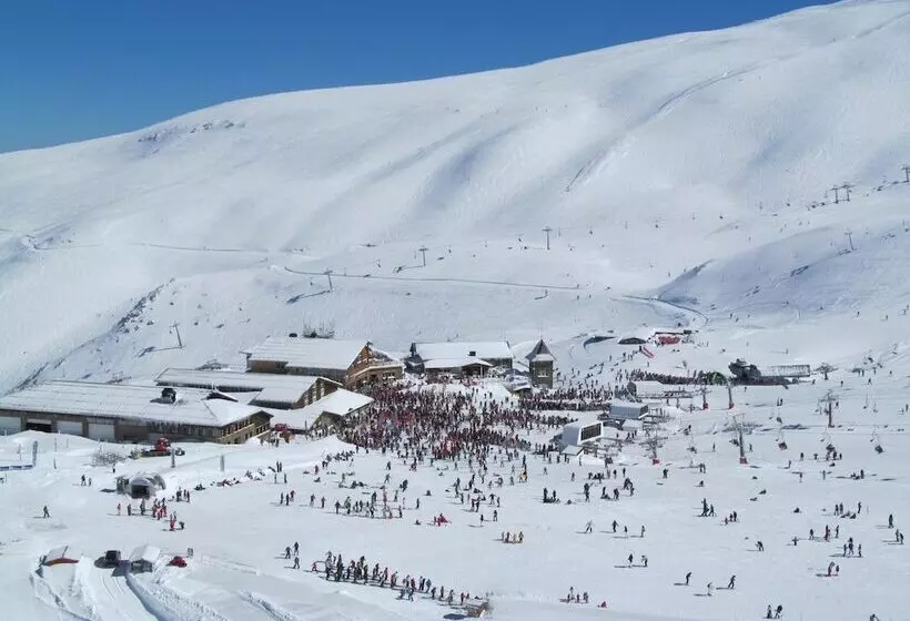 Hôtel Parraga Siete