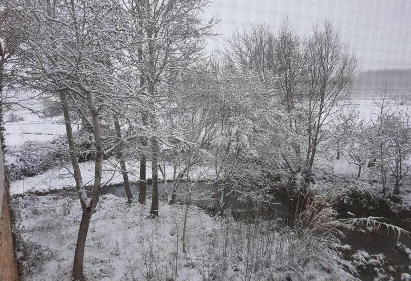 فندق ريفى El Molino