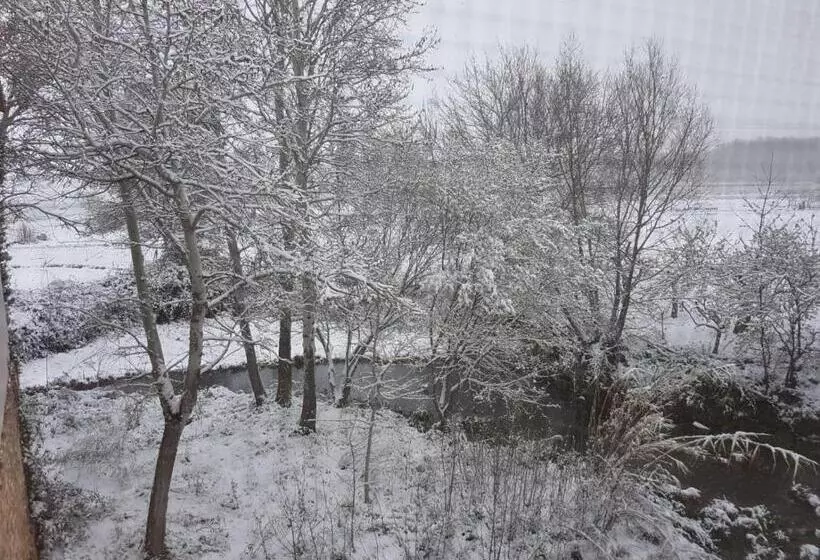 교외 호텔 El Molino