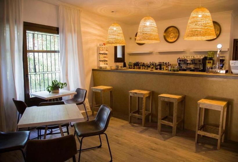 فندق ريفى El Molino